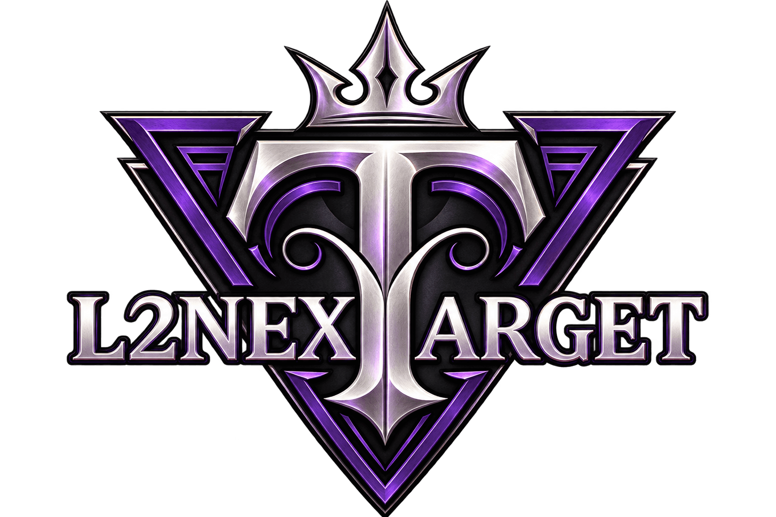 L2NextTarget logo